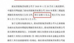 债务爆料新闻稿件,揭开企业财务危机背后的真相